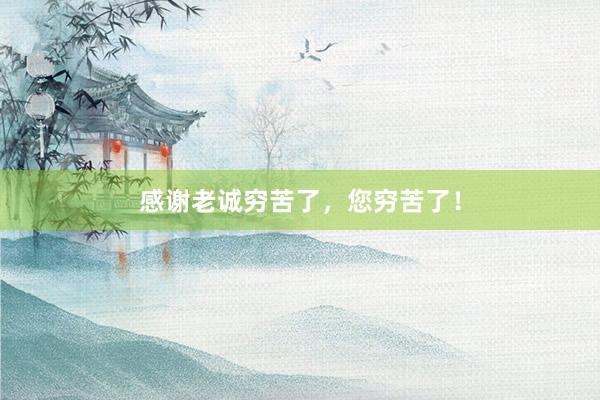 感谢老诚穷苦了，您穷苦了！