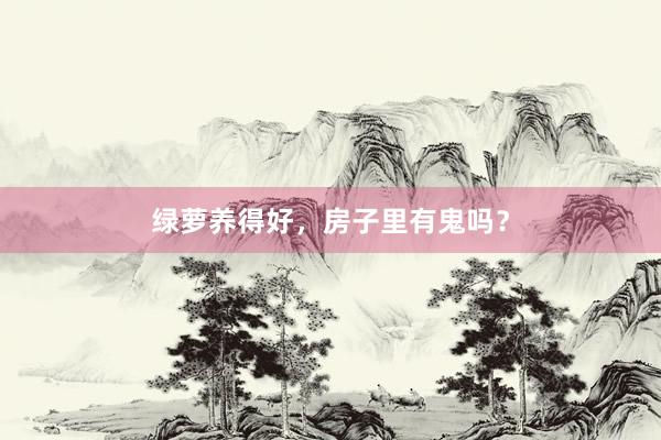 绿萝养得好，房子里有鬼吗？